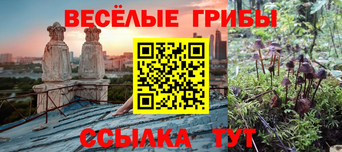 Галлюциногенные грибы Magic Shrooms  Вход с VPN  Торжок 