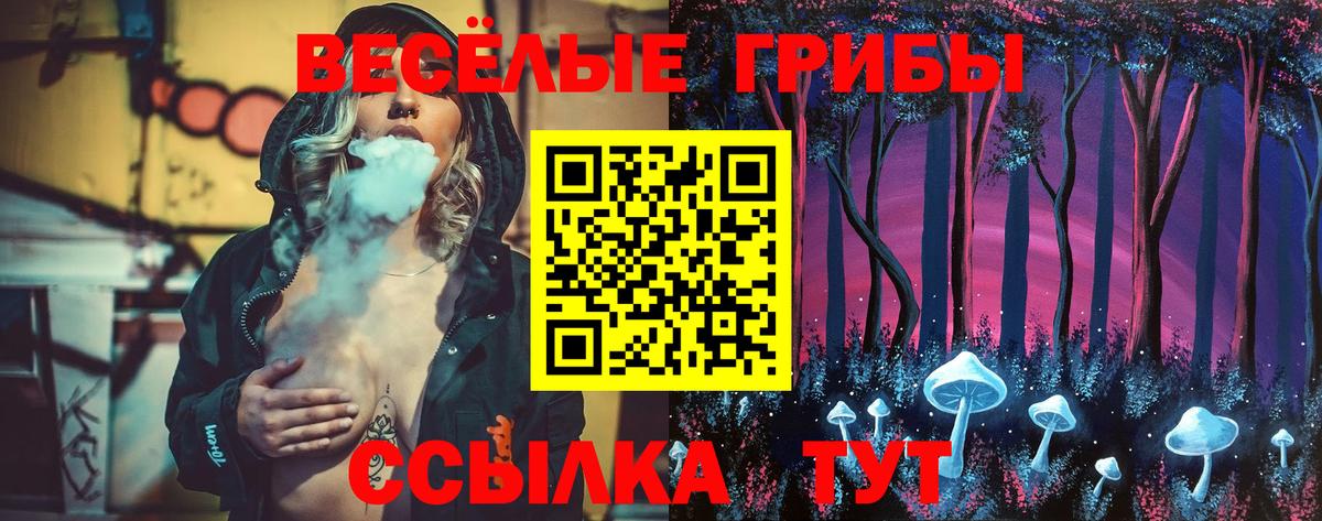 Псилоцибиновые грибы Cubensis Торжок
